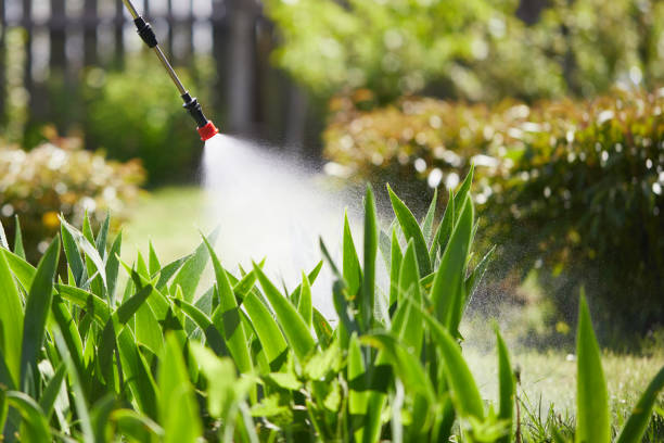 24/7 Emergency Mosquito Control experts in Del Rey Oaks, CA