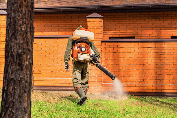 Top rated local Mosquito Control specialists in Del Rey Oaks, CA